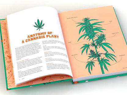 Weed: Everything You Want to Know But Are Always Too Stoned to Ask (Revised Edition)