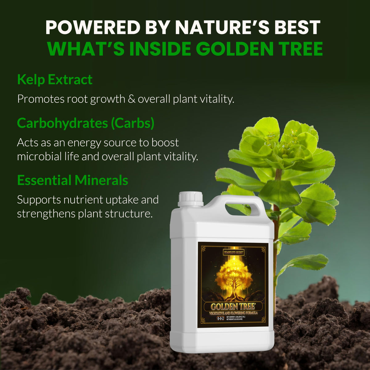 Humboldts Secret Golden Tree Plant Food