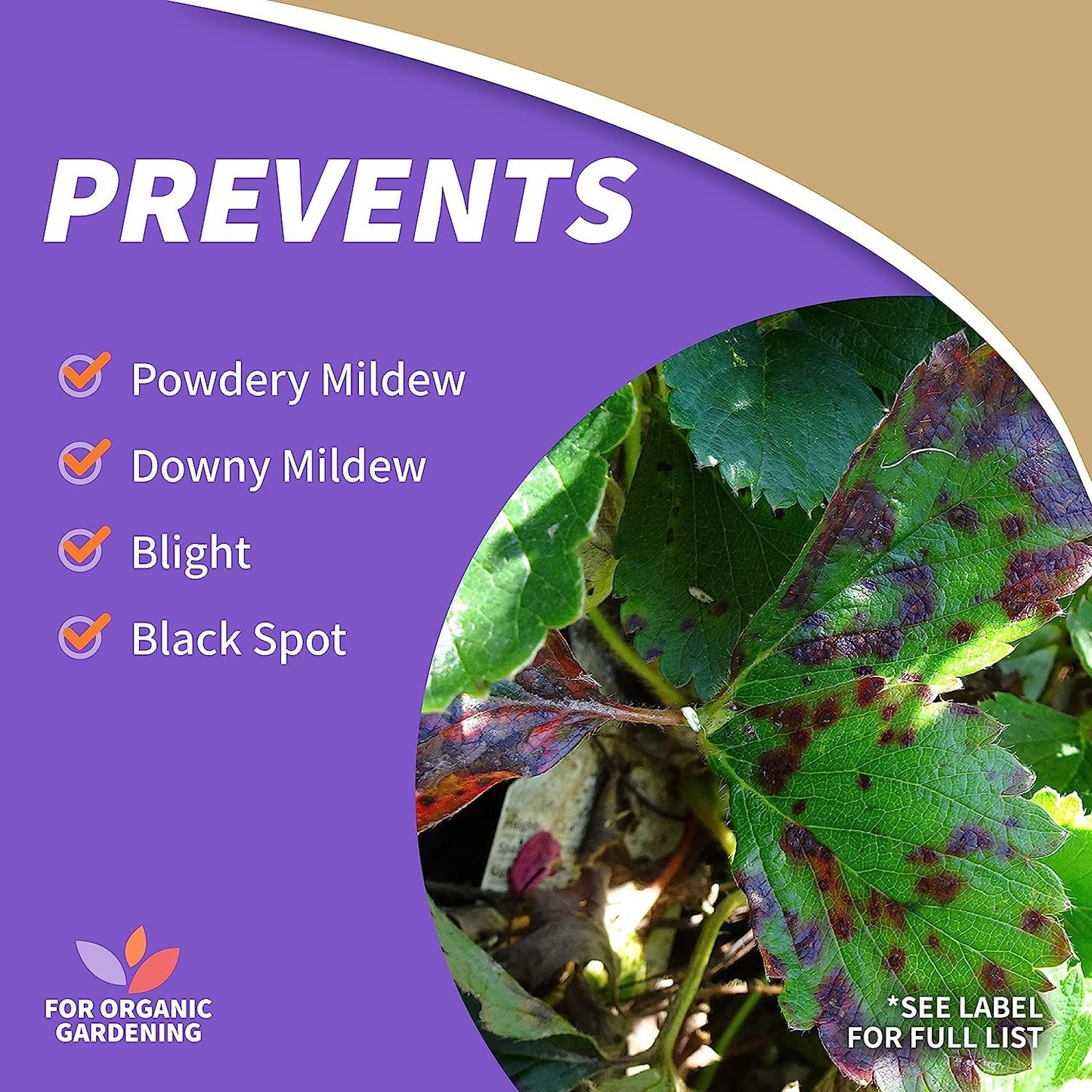 Bonide Captain Jack's Copper Fungicide, 32 oz Ready-to-Use Spray for Organic Gardening, Controls Common Diseases