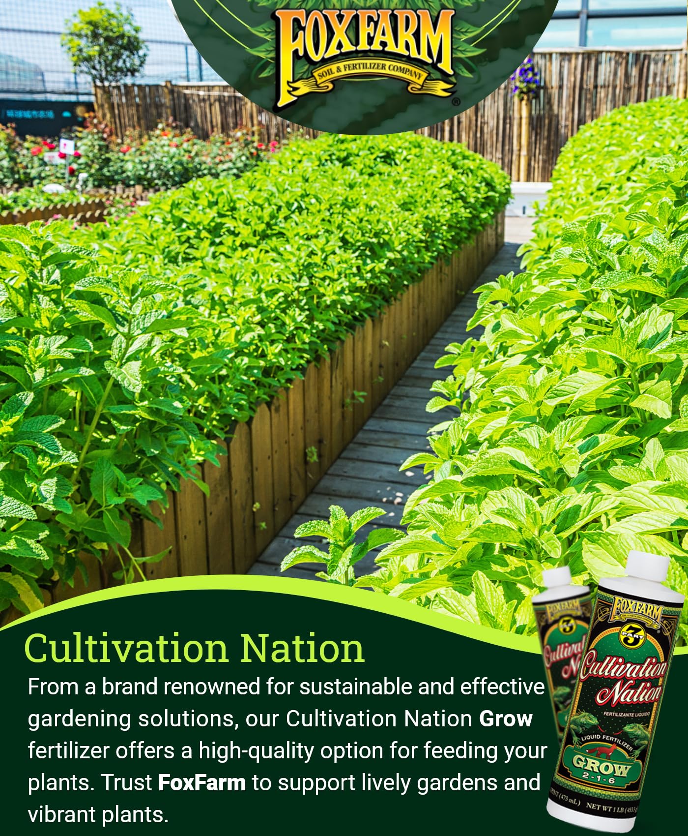 FoxFarm Cultivation Nation Grow Fertilizer - Formula for Optimal Vegetative Growth, Perfect for Soil, Soilless Media, Hydroponics & Aeroponics - Part 1 of 3-Part Feeding Program- NPK 2-1-6 (Gallon)