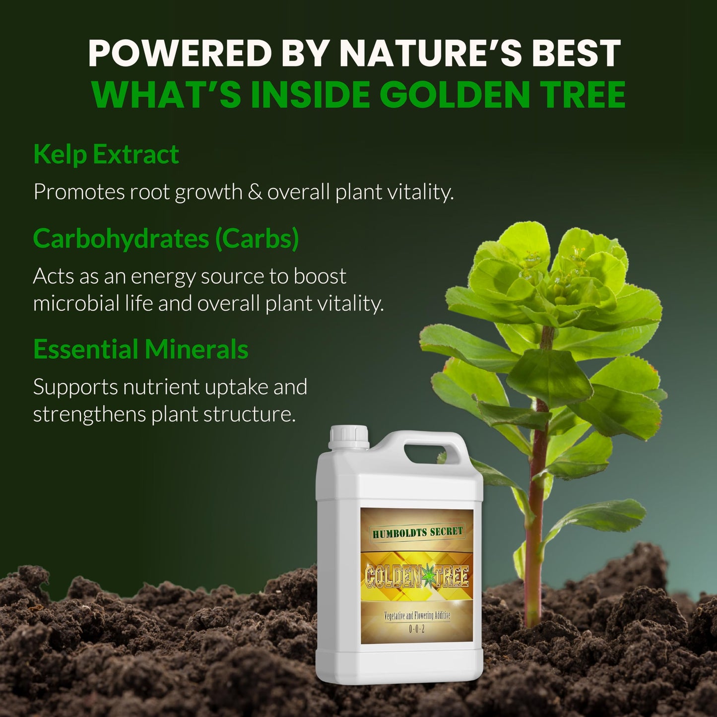 Humboldts Secret Golden Tree Liquid Plant Food | Enhances Growth Indoors or Outdoors | All-in-One Plant Nutrients for Vegetables, Trees, Flowers, Fruits, Roses, Lawns, Tomatoes | 16 Ounce