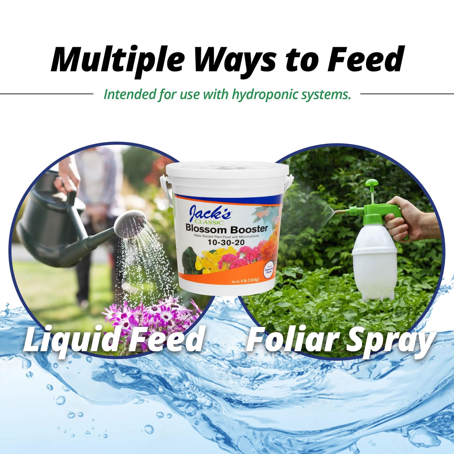 Jack's Classic 10-30-20 Blossom Booster Water-Soluble Fertilizer with Micronutrients for Increasing Color and Quantity of Blooms in Flowering Plants, 8oz