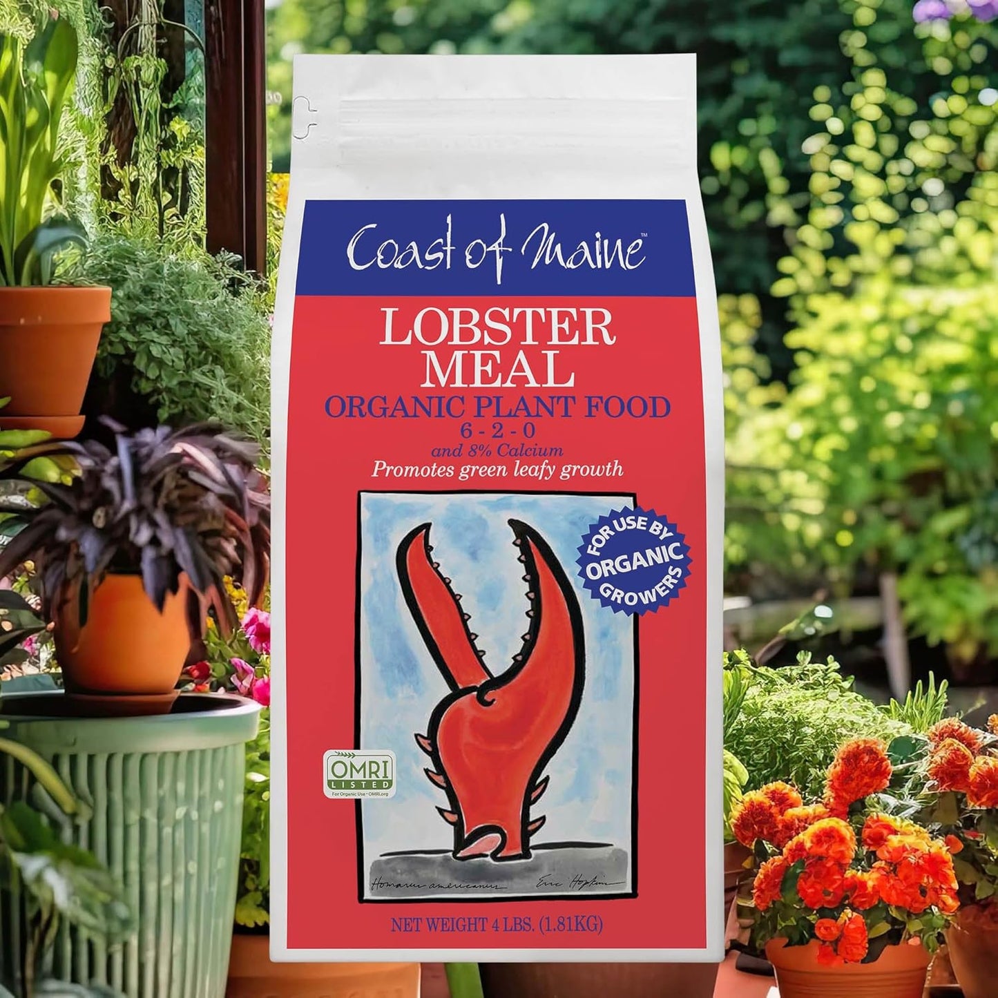 Coast of Maine Lobster Meal (4lb) Organic Plant Food and Calcium, OMRI Listed - for Green Leafy Growth