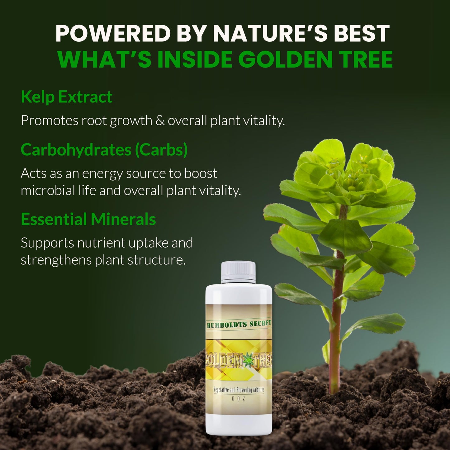 Humboldts Secret Golden Tree Liquid Plant Food | Enhances Growth Indoors or Outdoors | All-in-One Plant Nutrients for Vegetables, Trees, Flowers, Fruits, Roses, Lawns, Tomatoes | 16 Ounce