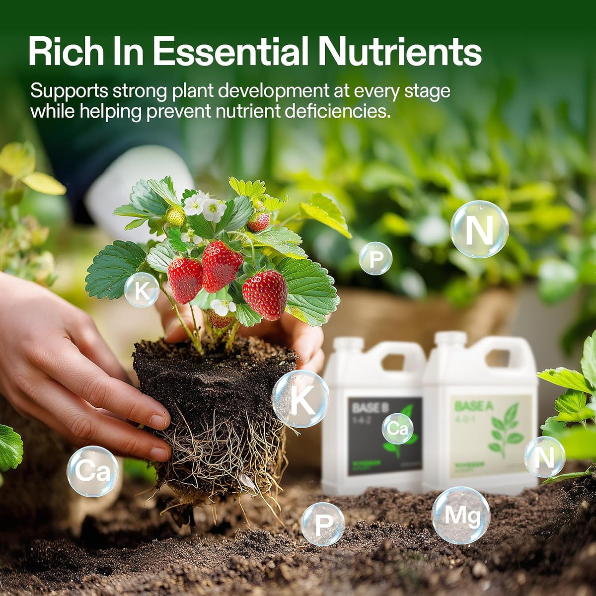 VIVOSUN Base A and B Liquid Nutrients, Size and Pack Options