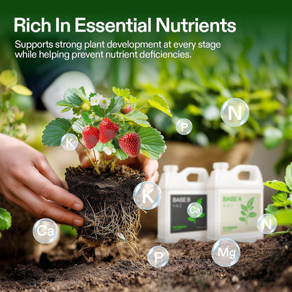 VIVOSUN Base A and B Liquid Nutrients, Size and Pack Options