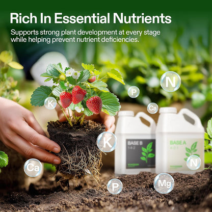 VIVOSUN Base A and B Liquid Nutrients, Size and Pack Options