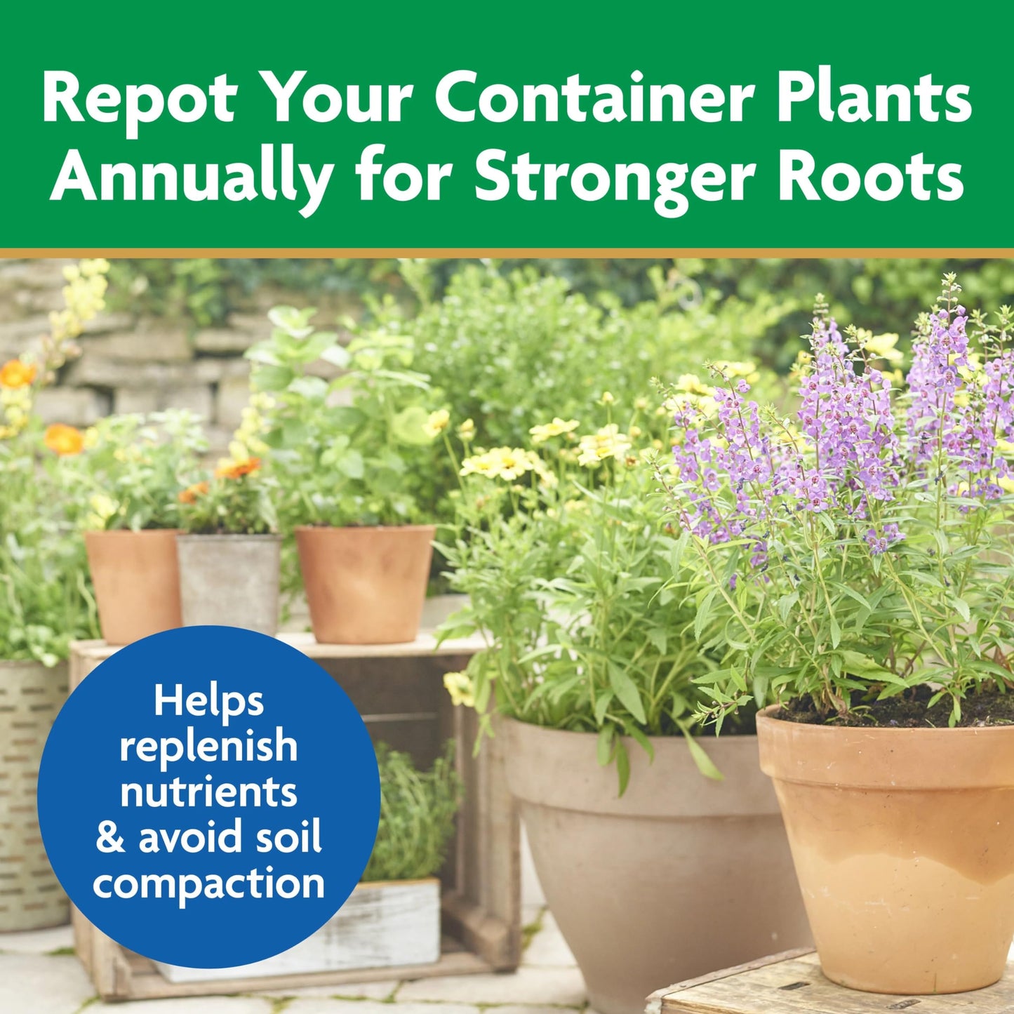 Miracle-Gro Moisture Control Potting Mix, For Container Plants, Protects against Over- and Under-Watering, 8 qt., 2-Pack