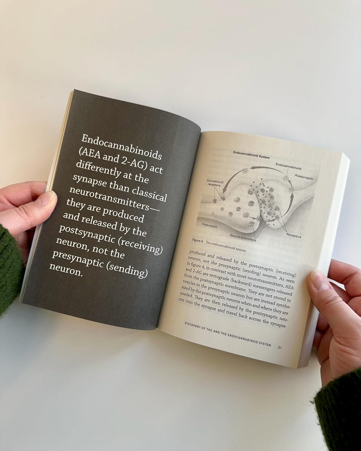 Cannabinoids (The MIT Press Essential Knowledge series)