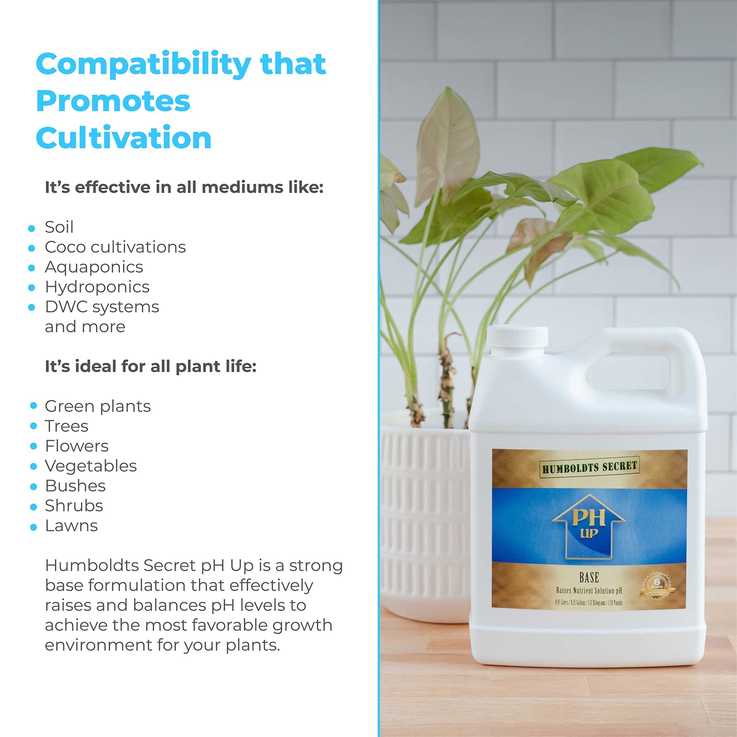 Humboldts Secret pH Up - Hydroponic pH Up - pH Up for Plants to Stabilize Nutrient - Plant pH Adjustment - Plant Nutrient pH Levels Optimizer (32 Ounce)