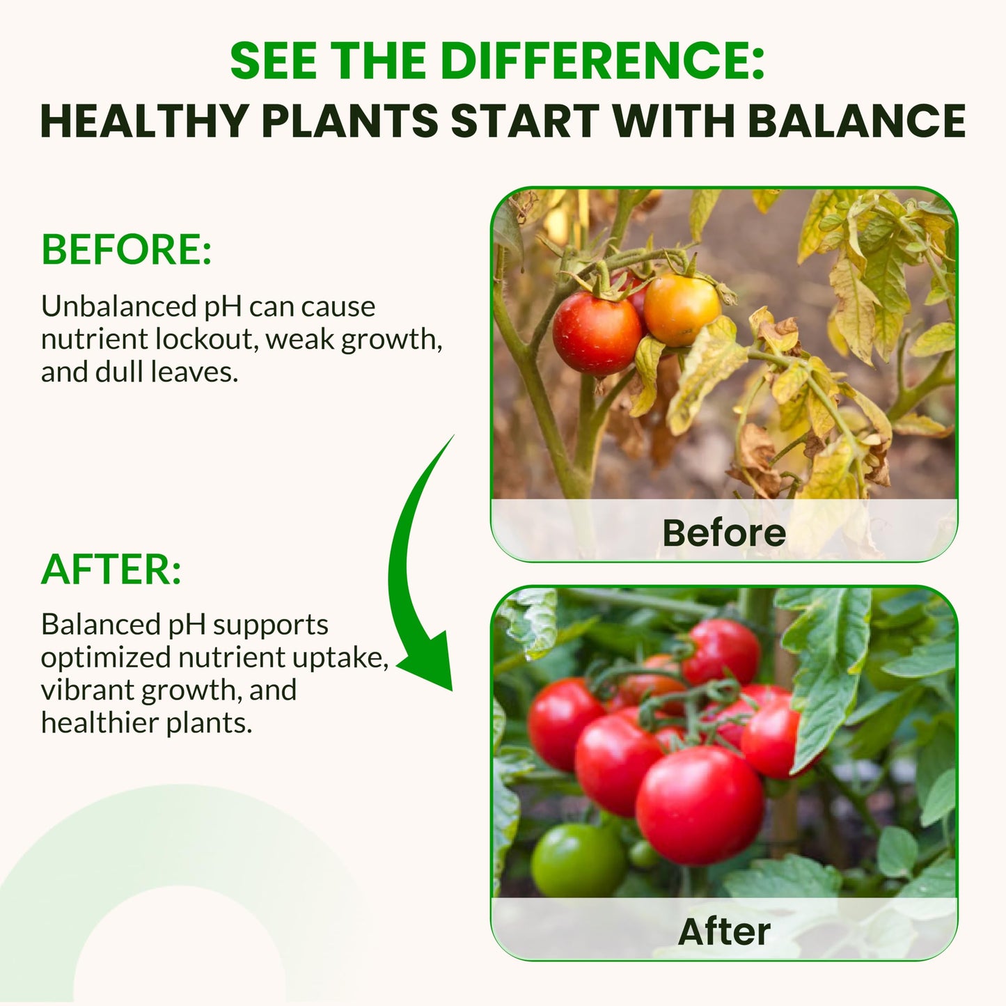 Humboldts Secret pH Up and pH Down Control Kit | Liquid Nutrient Solution Balancer for Plants | for Soil, Hydroponic, Coco, and DWC Systems | Supports Nutrient Absorption and Growth | 32 Ounce