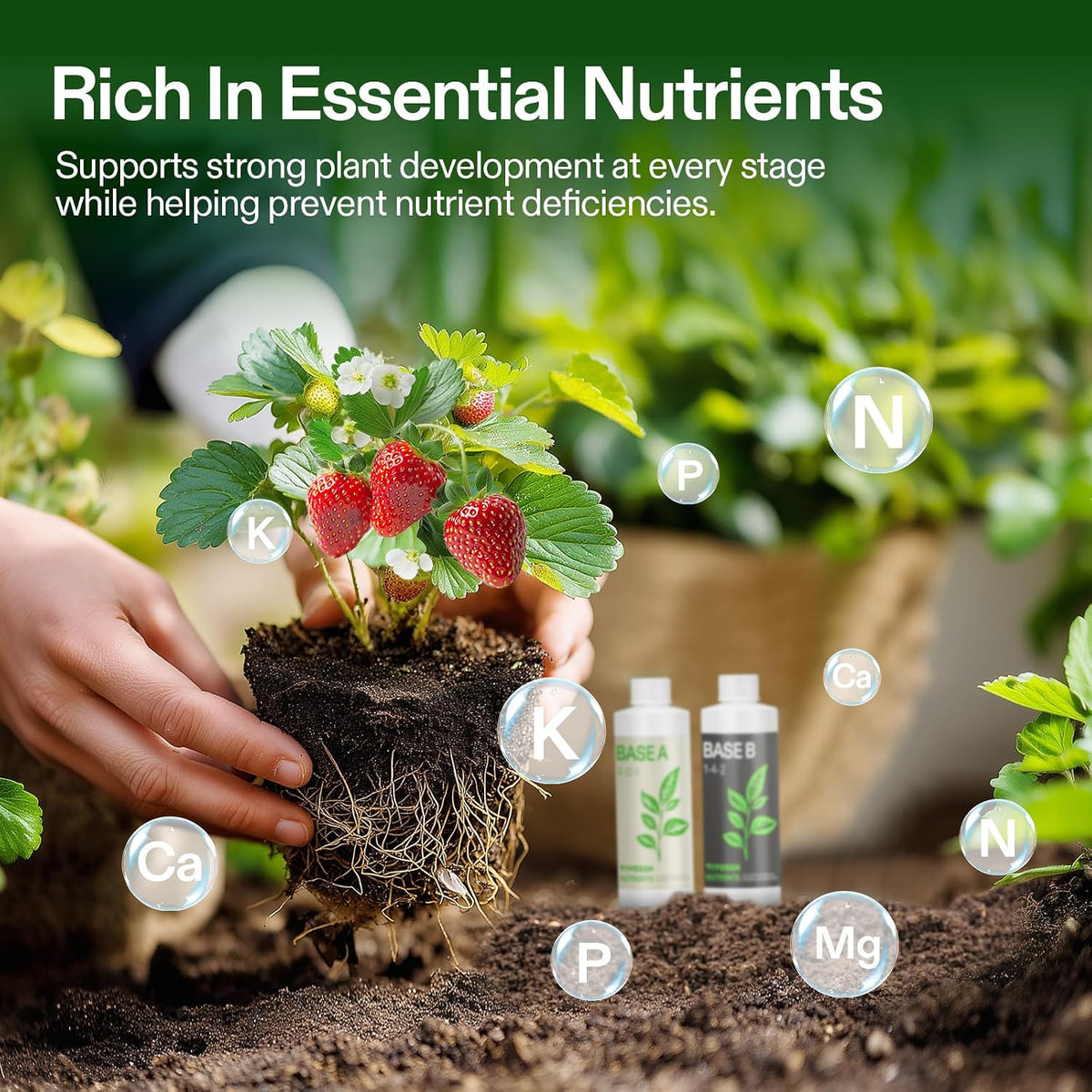 VIVOSUN Base A and B Liquid Nutrients, Size and Pack Options