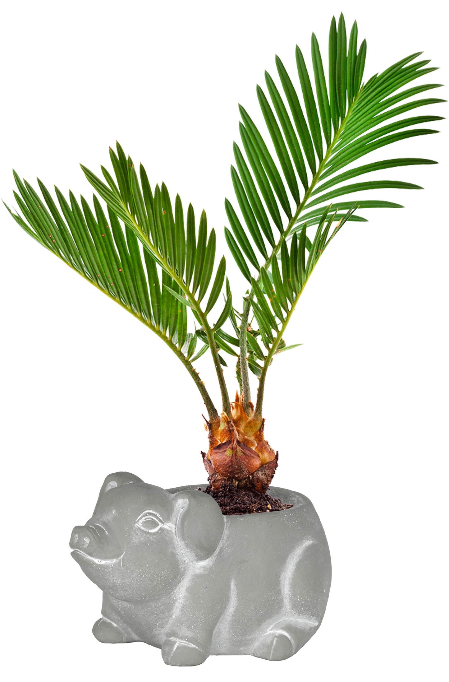 Classic Home and Garden Cement Buddies Animal Planter - Cute Desk Decoration - UV Coated Animal Vase w/Removable Drain Plug - Succulent Planter for Indoor/Outdoor Use (Bird Planter, Rust, Large)