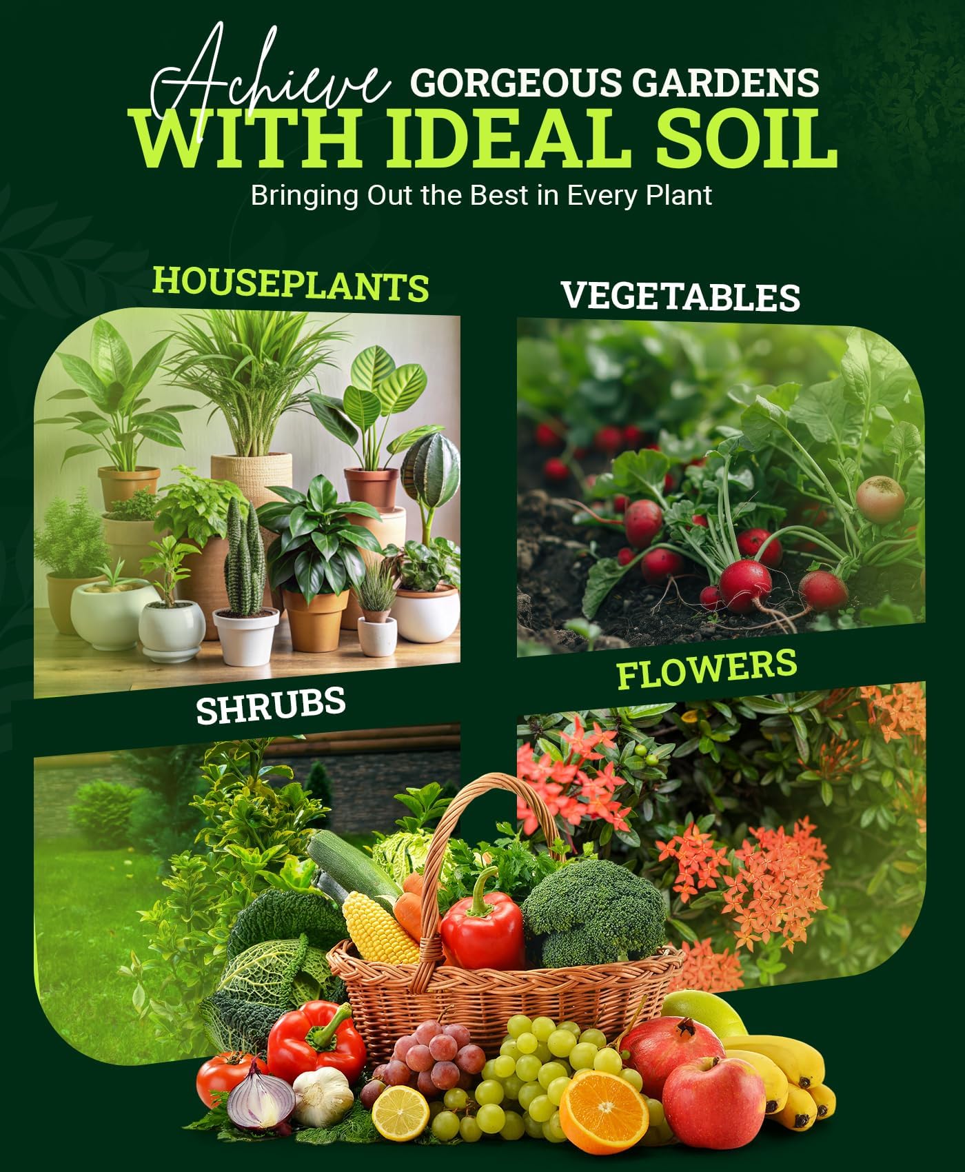 FoxFarm Happy Frog Potting Soil, 12qt – for Indoor/Outdoor Container Plants, Improves Root Efficiency, pH Adjusted for Optimal Nutrient Uptake – Contains Microbes and Humic Acids