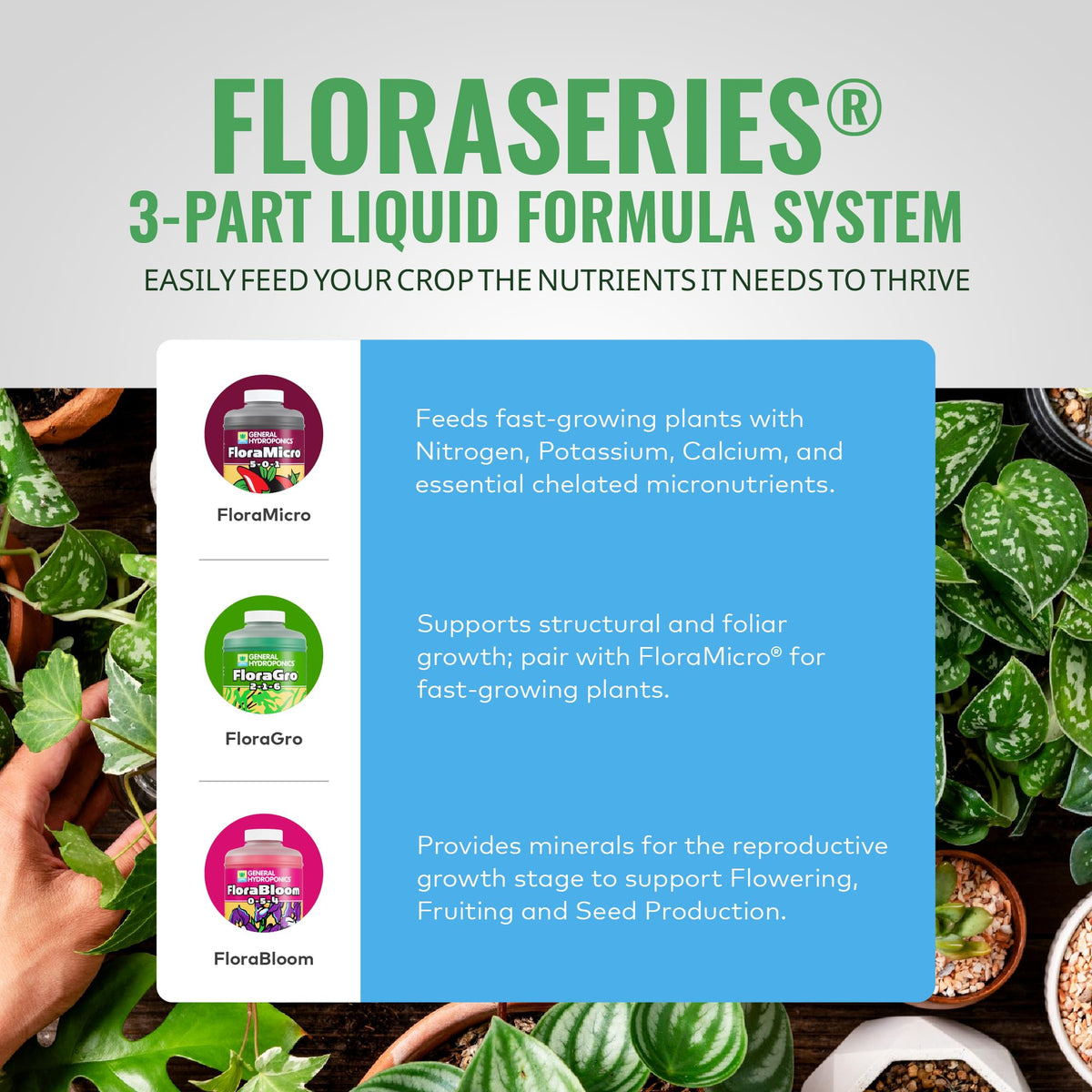 General Hydroponics FloraSeries Nutrients and Trial Packs