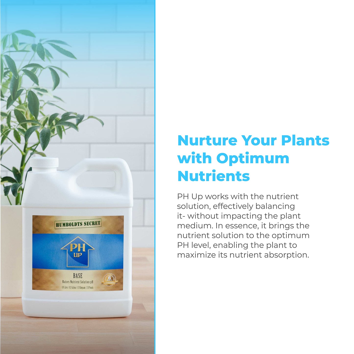 Humboldts Secret pH Up - Hydroponic pH Up - pH Up for Plants to Stabilize Nutrient - Plant pH Adjustment - Plant Nutrient pH Levels Optimizer (32 Ounce)