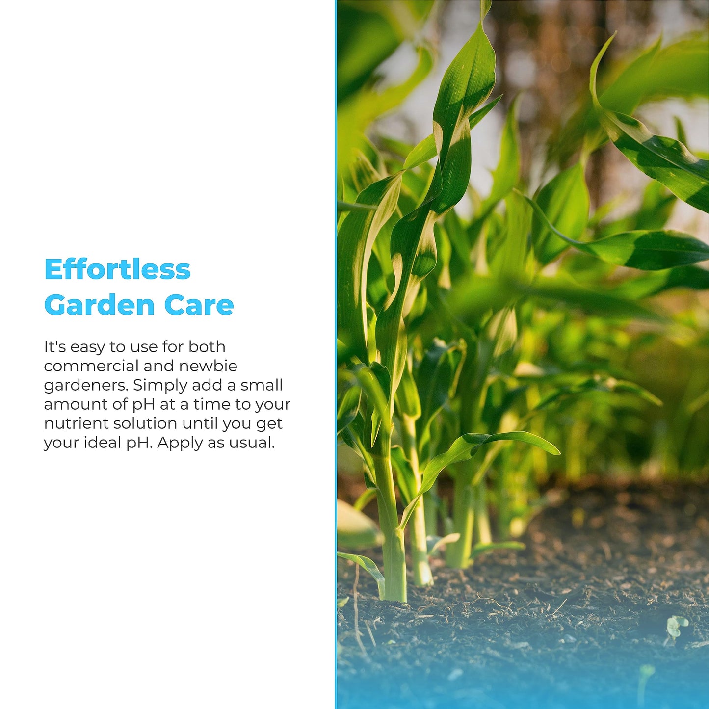 Humboldts Secret pH Up - Hydroponic pH Up - pH Up for Plants to Stabilize Nutrient - Plant pH Adjustment - Plant Nutrient pH Levels Optimizer (32 Ounce)