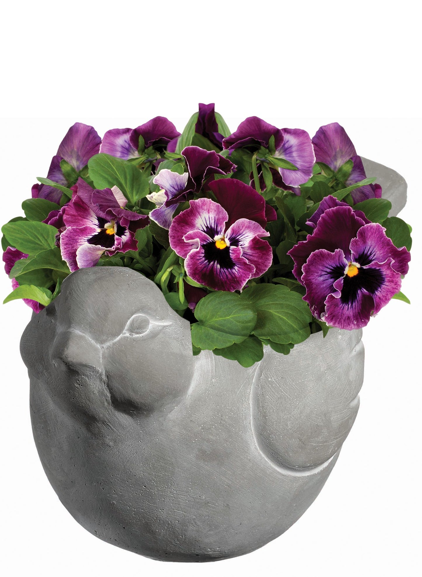 Classic Home and Garden Cement Buddies Animal Planter - Cute Desk Decoration - UV Coated Animal Vase w/Removable Drain Plug - Succulent Planter for Indoor/Outdoor Use (Bird Planter, Rust, Large)