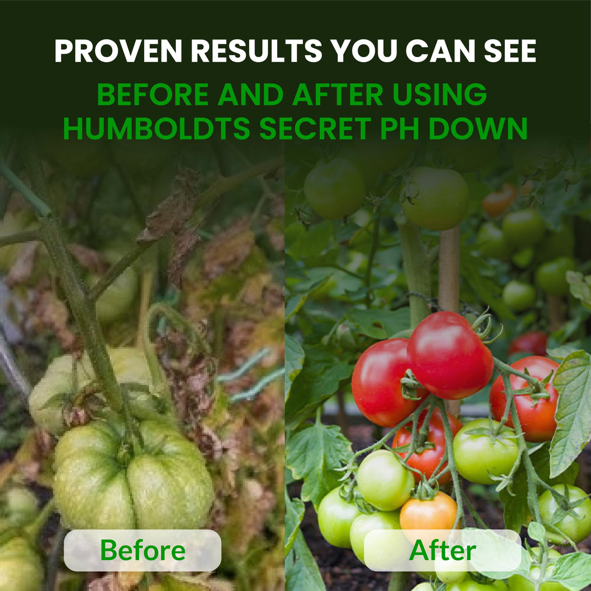 Humboldts Secret pH Down Liquid Adjuster