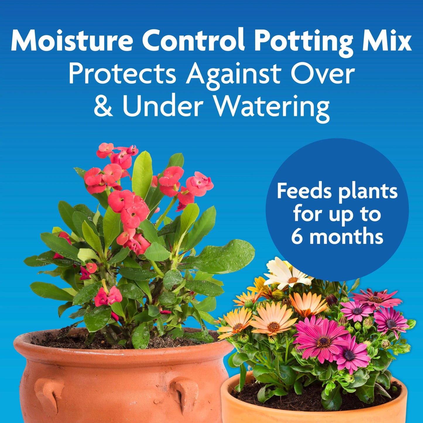 Miracle-Gro Moisture Control Potting Mix, For Container Plants, Protects against Over- and Under-Watering, 8 qt., 2-Pack