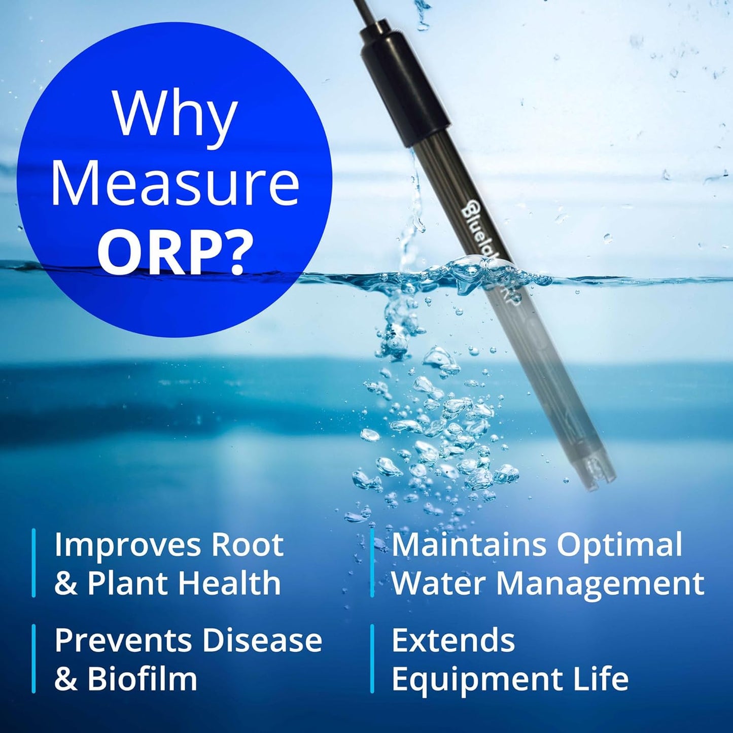 Bluelab ORP Probe – Durable, Platinum Probe with Ceramic Diaphragm & 2m Cable for Chlorine-Based Sanitiser Monitoring