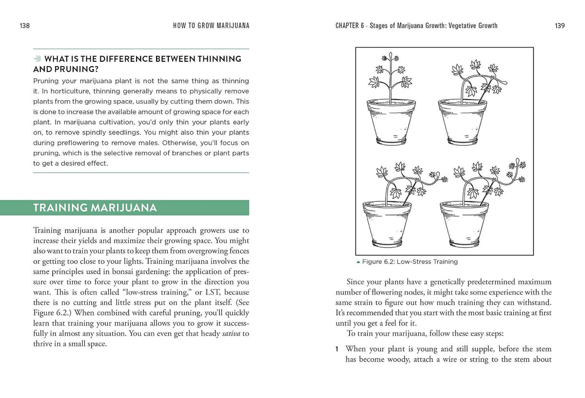 How to Grow Marijuana: The Easiest Guide to Growing Weed