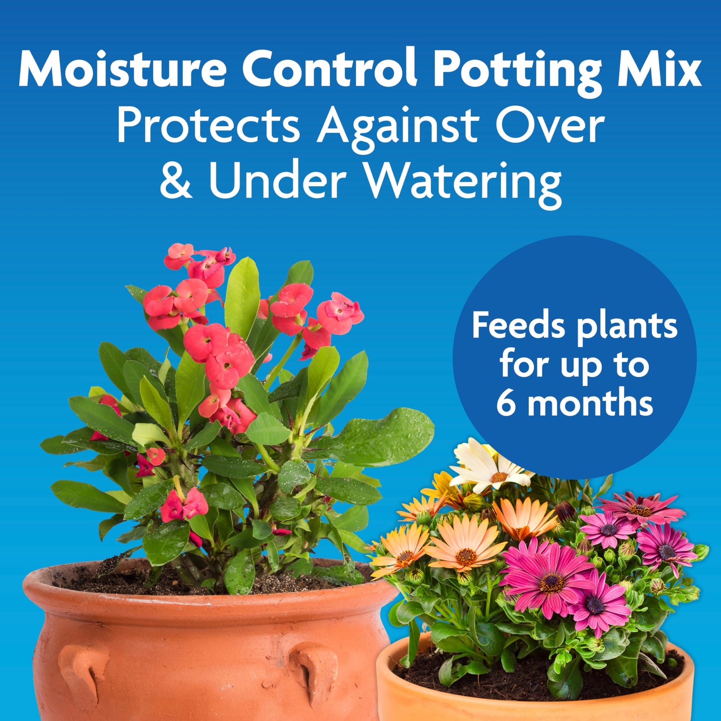 Miracle-Gro Moisture Control Potting Mix, For Container Plants, Protects against Over- and Under-Watering, 8 qt., 2-Pack