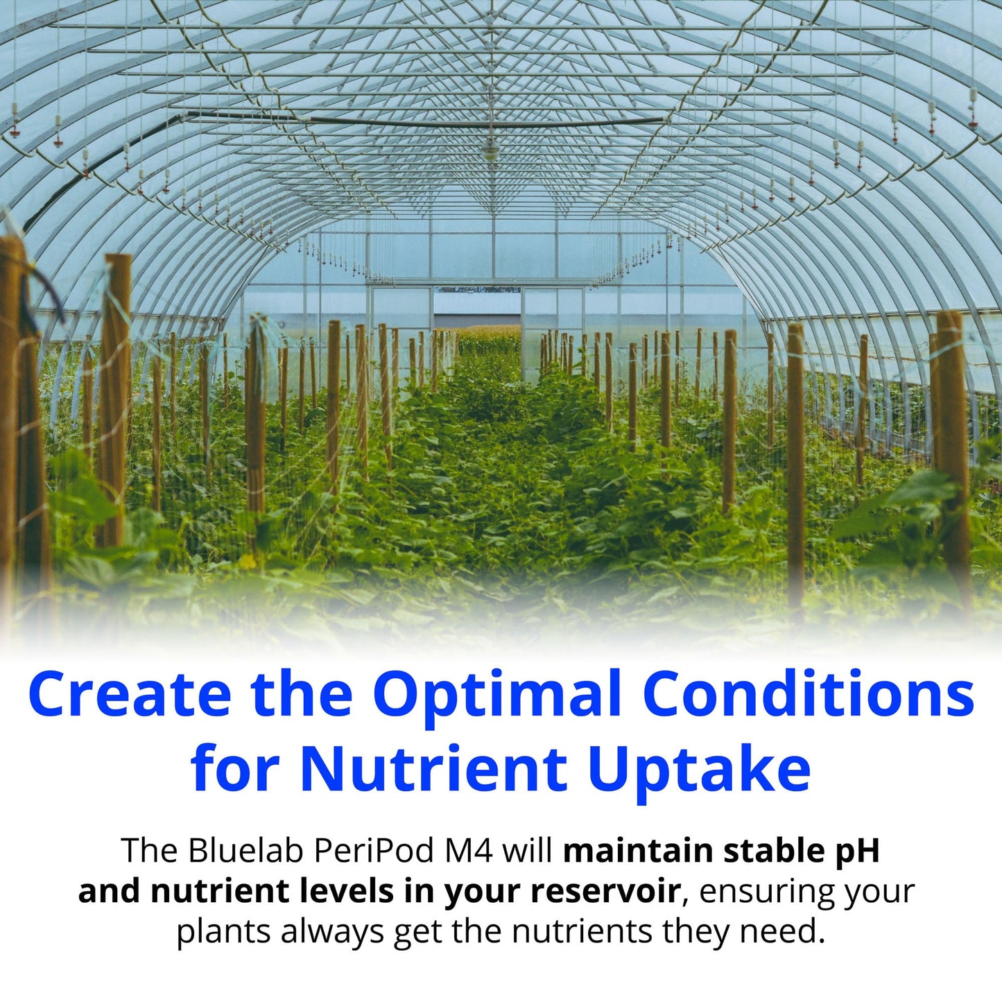 Bluelab PERIPODM4 Peripod M4 for Pro Controller, Dosing for pH and Nutrient (TDS), 4 Pumps with Accessories (Pro Controller Sold Separately), Tool for Hydroponic System and Indoor Plant Grow