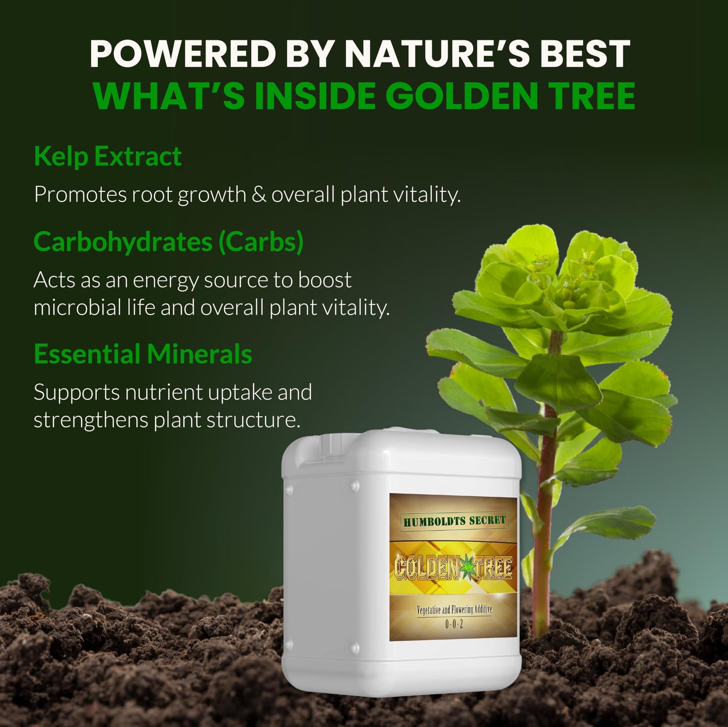 Humboldts Secret Golden Tree Liquid Plant Food | Enhances Growth Indoors or Outdoors | All-in-One Plant Nutrients for Vegetables, Trees, Flowers, Fruits, Roses, Lawns, Tomatoes | 16 Ounce