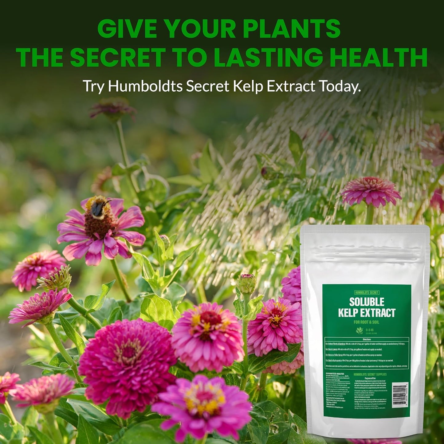 Humboldts Secret Soluble Kelp Extract Powder | 0-0-16 Water Seaweed Fertilizer | Concentrated Nutrients & Minerals for Lawn, Garden, Vegetables, Houseplants, Succulents & Hydroponics | 2 lb Bag