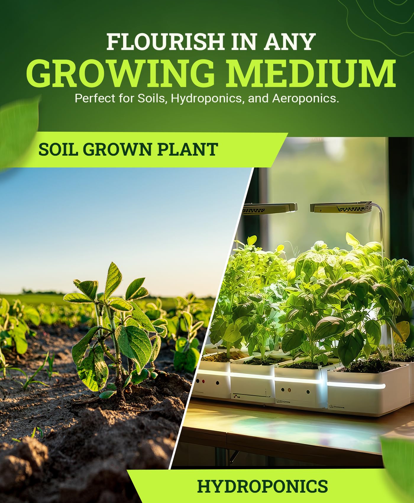 FoxFarm Beastie Bloomz Soluble Fertilizer - High-Phosphorus Fertilizer for Mid to Late Flowering, pH Balanced - Supports Blossom Development, NPK 0-5-3 (6 oz)