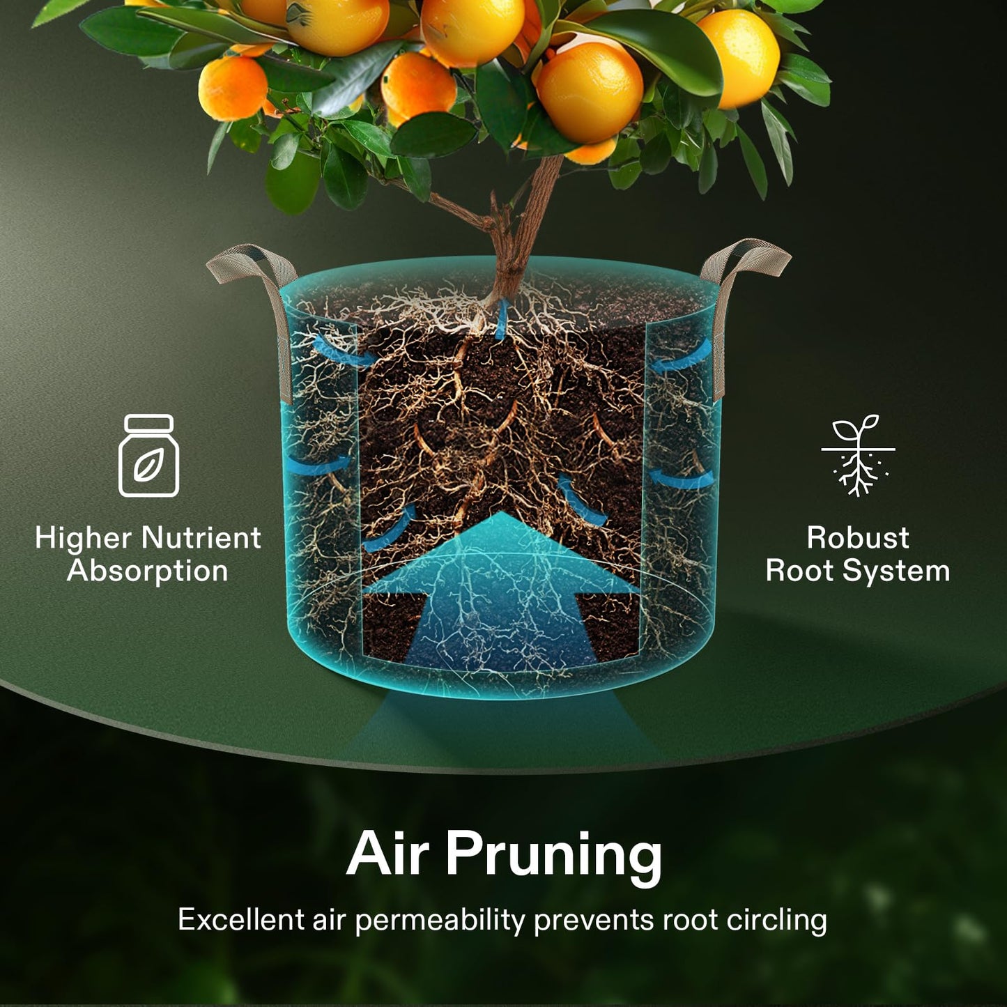 VIVOSUN 5-Pack 5 Gallon Grow Bags Heavy Duty 300G Thickened Nonwoven Plant Fabric Pots with Handles