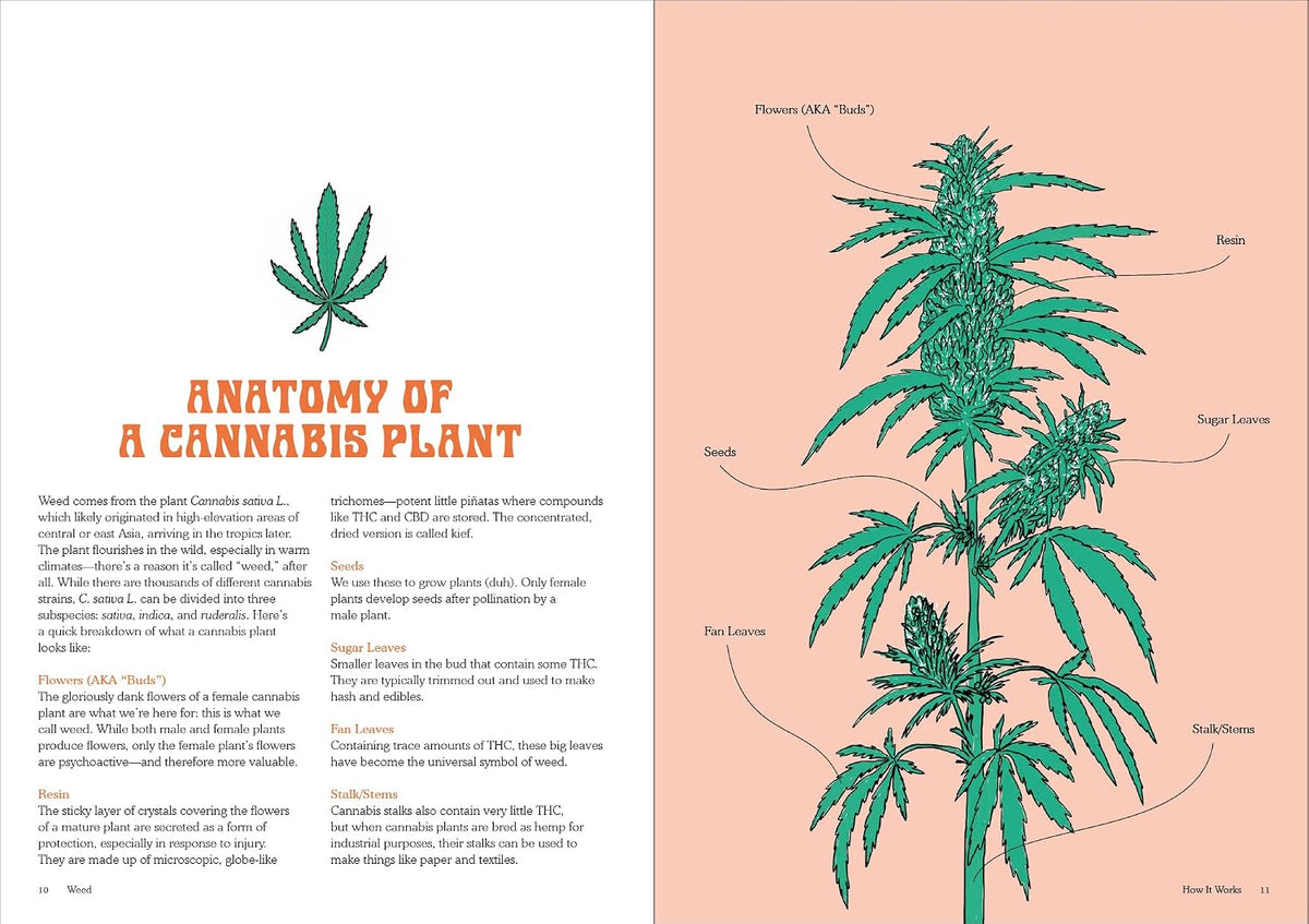 Weed: Everything You Want to Know But Are Always Too Stoned to Ask (Revised Edition)
