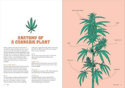 Weed: Everything You Want to Know But Are Always Too Stoned to Ask (Revised Edition)