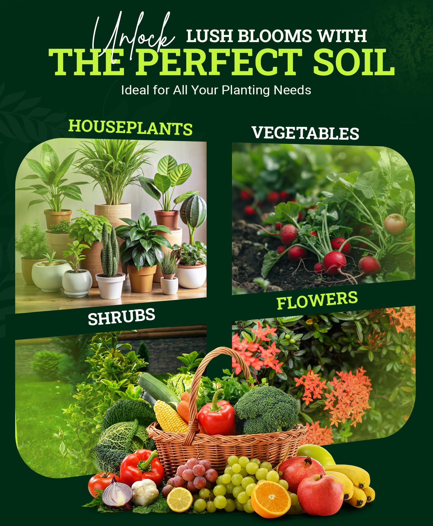 FoxFarm Happy Frog Potting Soil, 12qt – for Indoor/Outdoor Container Plants, Improves Root Efficiency, pH Adjusted for Optimal Nutrient Uptake – Contains Microbes and Humic Acids