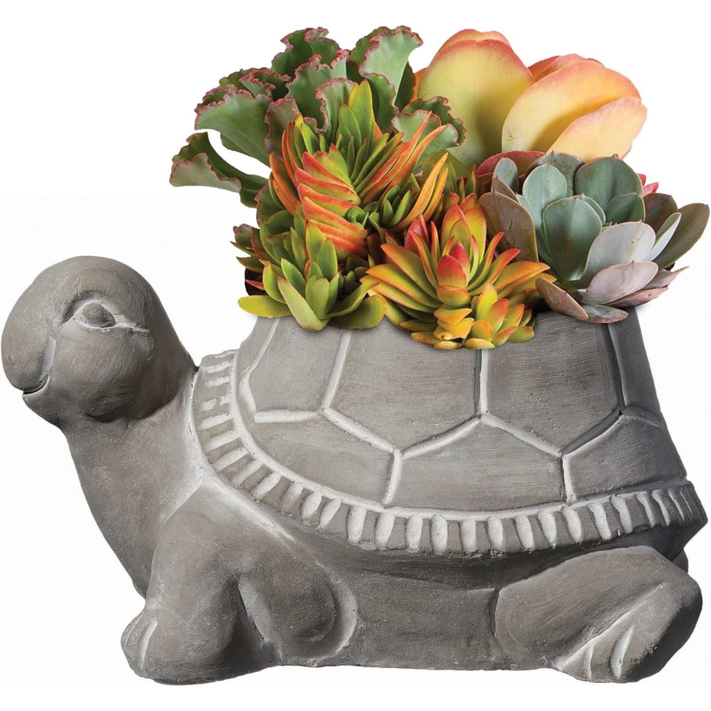 Classic Home and Garden Cement Buddies Animal Planter - Cute Desk Decoration - UV Coated Animal Vase w/Removable Drain Plug - Succulent Planter for Indoor/Outdoor Use (Bird Planter, Rust, Large)