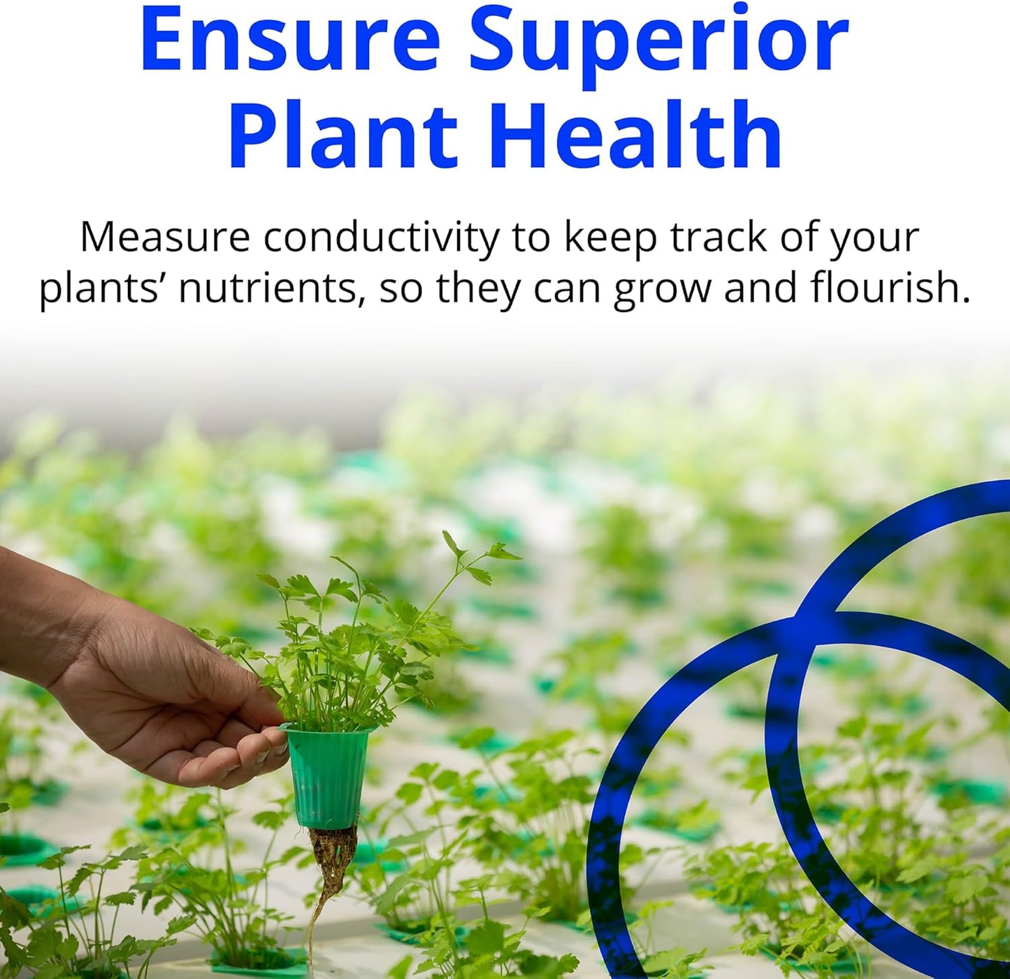 Bluelab Truncheon Nutrient Meter, Digital Conductivity Tester in Water (EC, 500, ppm 700, CF, TDS) Tool for Hydroponic System and Indoor Plant Grow