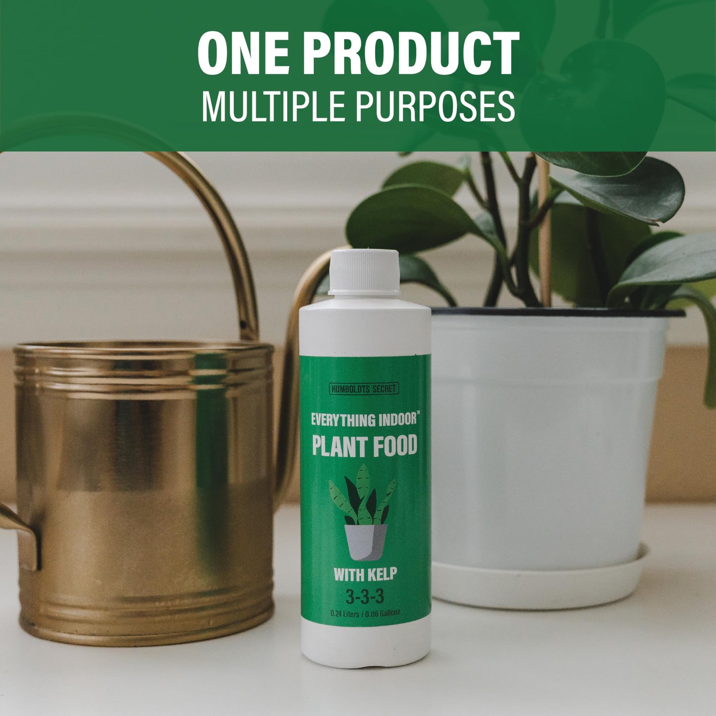 Humboldts Secret Everything Indoor Plant Food with Kelp | Liquid Concentrate Indoor Plant Fertilizer 3-3-3 All Purpose Plant Food for House Plants (8 Ounce)