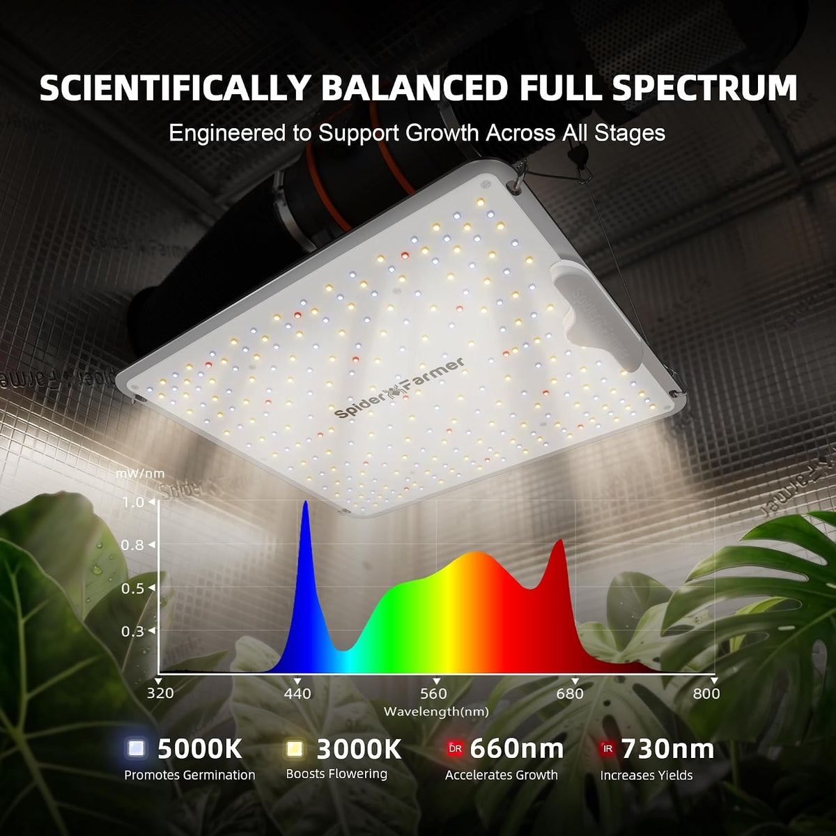 Spider Farmer SF1000 LED Grow Lights for Indoor Plants in 2x2/3x3 Grow Tent