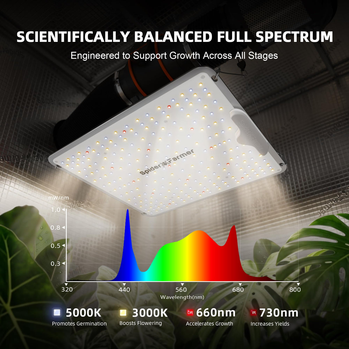 Spider Farmer SF1000 LED Grow Lights for Indoor Plants in 2x2/3x3 Grow Tent