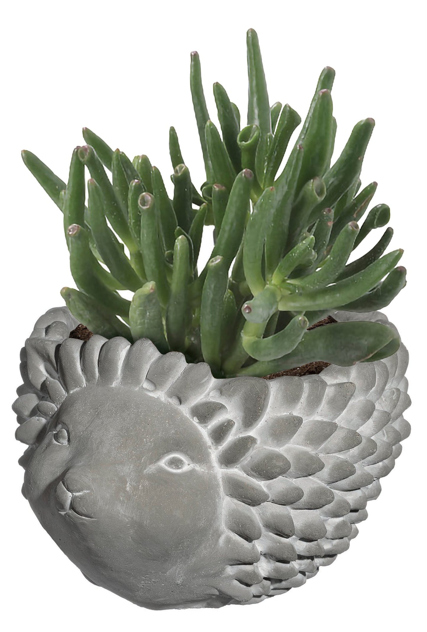 Classic Home and Garden Cement Buddies Animal Planter - Cute Desk Decoration - UV Coated Animal Vase w/Removable Drain Plug - Succulent Planter for Indoor/Outdoor Use (Bird Planter, Rust, Large)