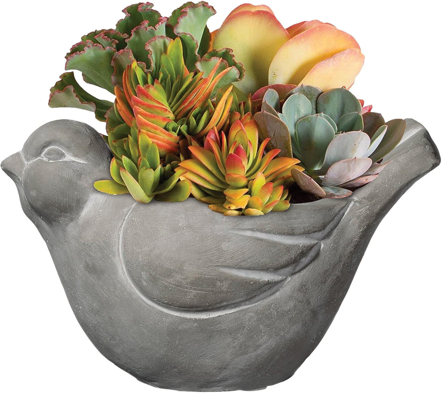 Classic Home and Garden Cement Buddies Animal Planter - Cute Desk Decoration - UV Coated Animal Vase w/Removable Drain Plug - Succulent Planter for Indoor/Outdoor Use (Bird Planter, Natural, Large)