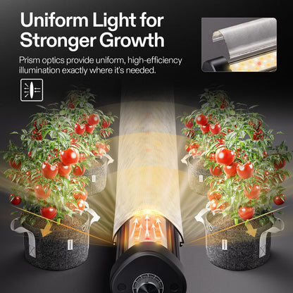 VIVOSUN LumaRay Under Canopy Grow Lights, Pack Options