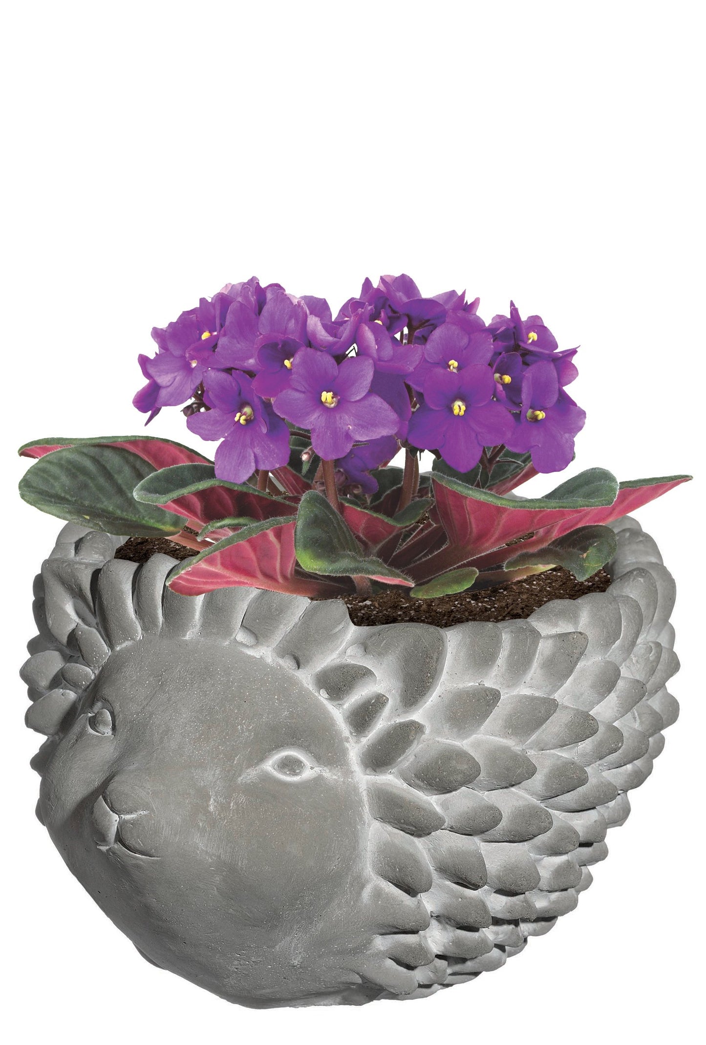 Classic Home and Garden Cement Buddies Animal Planter - Cute Desk Decoration - UV Coated Animal Vase w/Removable Drain Plug - Succulent Planter for Indoor/Outdoor Use (Bird Planter, Rust, Large)