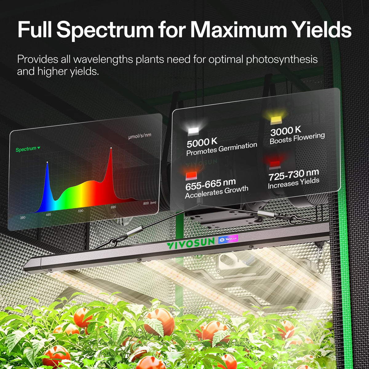 VIVOSUN Smart Grow Tent Kits, Multiple Sizes