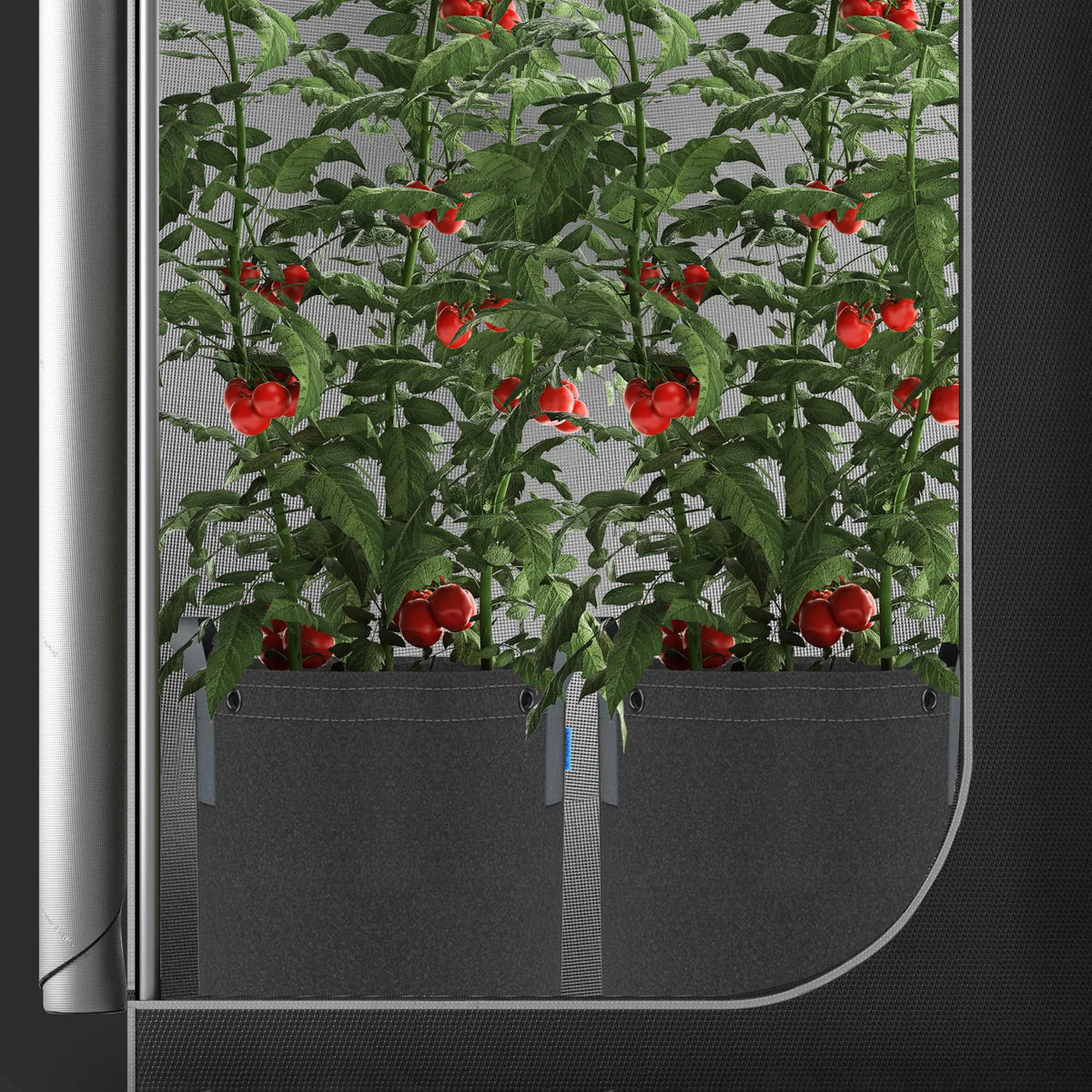 AC Infinity Fabric Grow Pots, Multiple Capacities