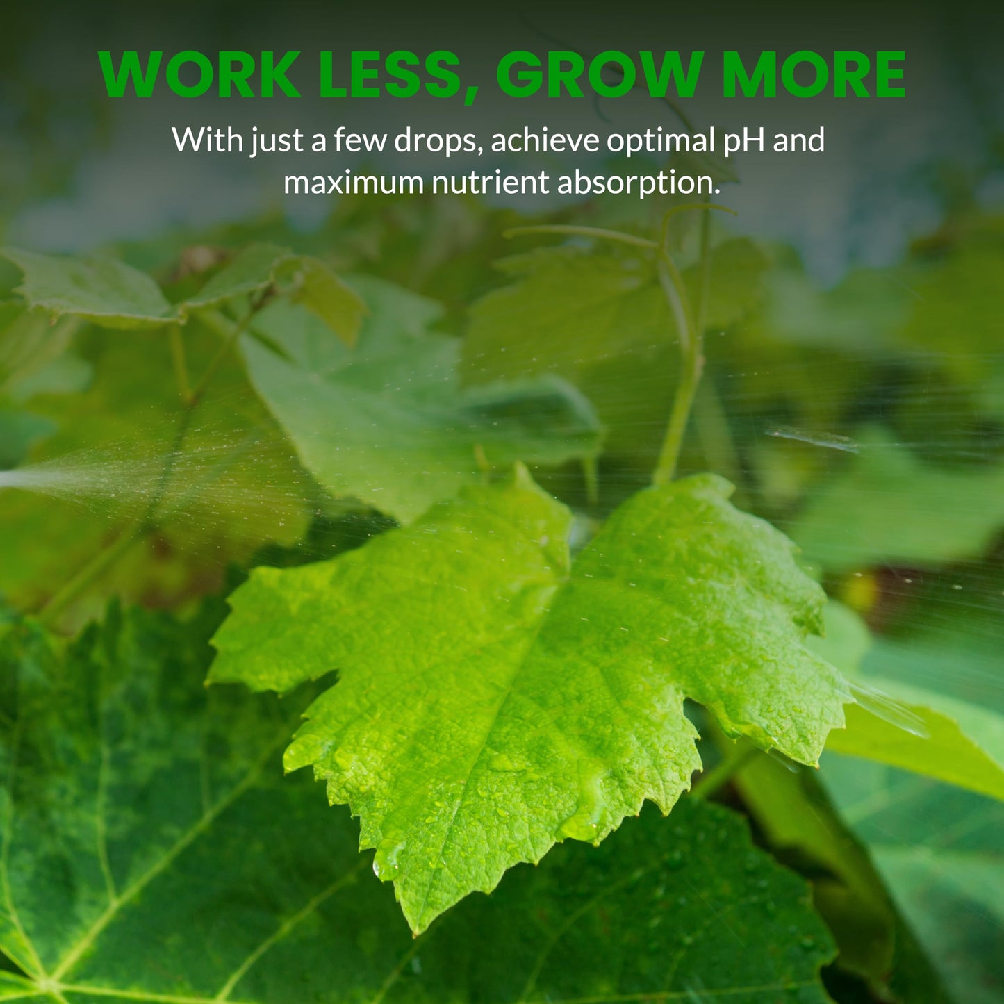 Humboldts Secret pH Up and pH Down Control Kit | Liquid Nutrient Solution Balancer for Plants | for Soil, Hydroponic, Coco, and DWC Systems | Supports Nutrient Absorption and Growth | 32 Ounce