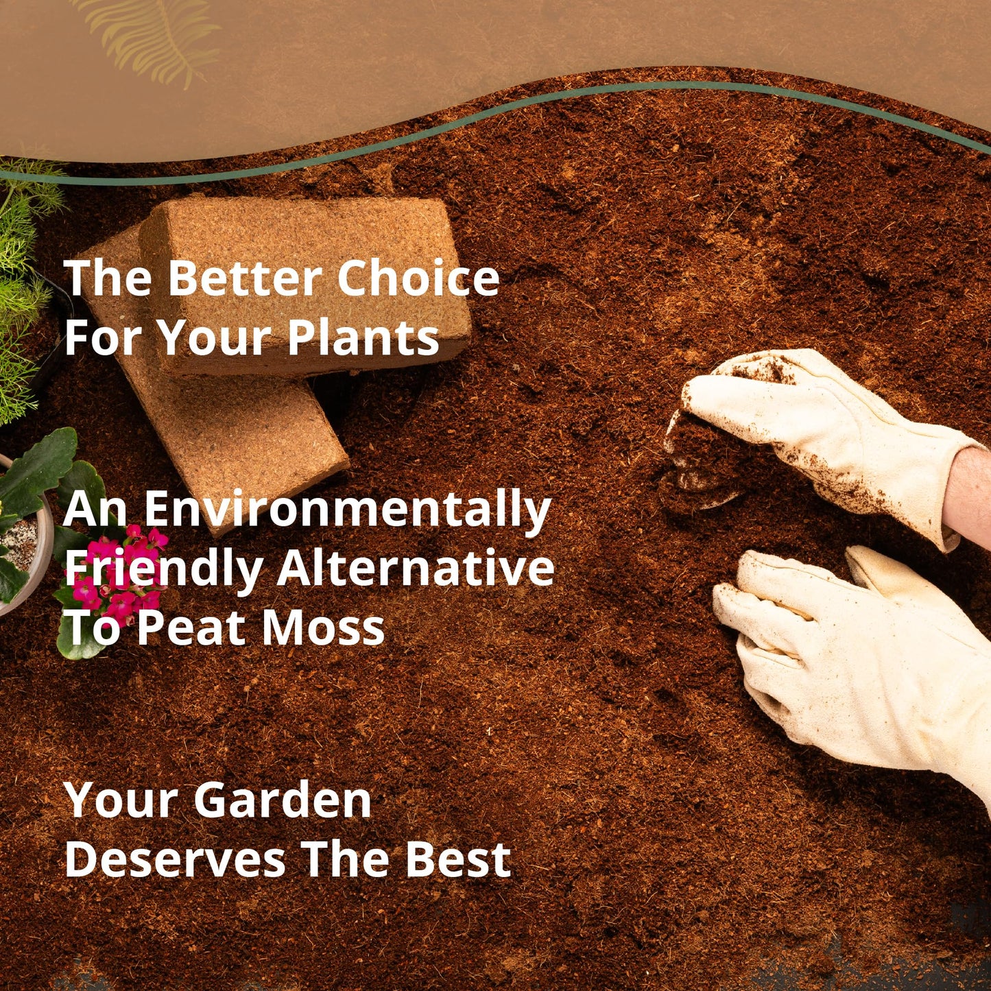 Coco Bliss 650gm Bricks (30-Pack) - Organic Coco Coir for Plants - OMRI-Listed Coco Coir for Garden Soil & Potting Mixes - Coconut Fiber Mixes with Potting Soil for Indoor Plants & Outdoor Plants