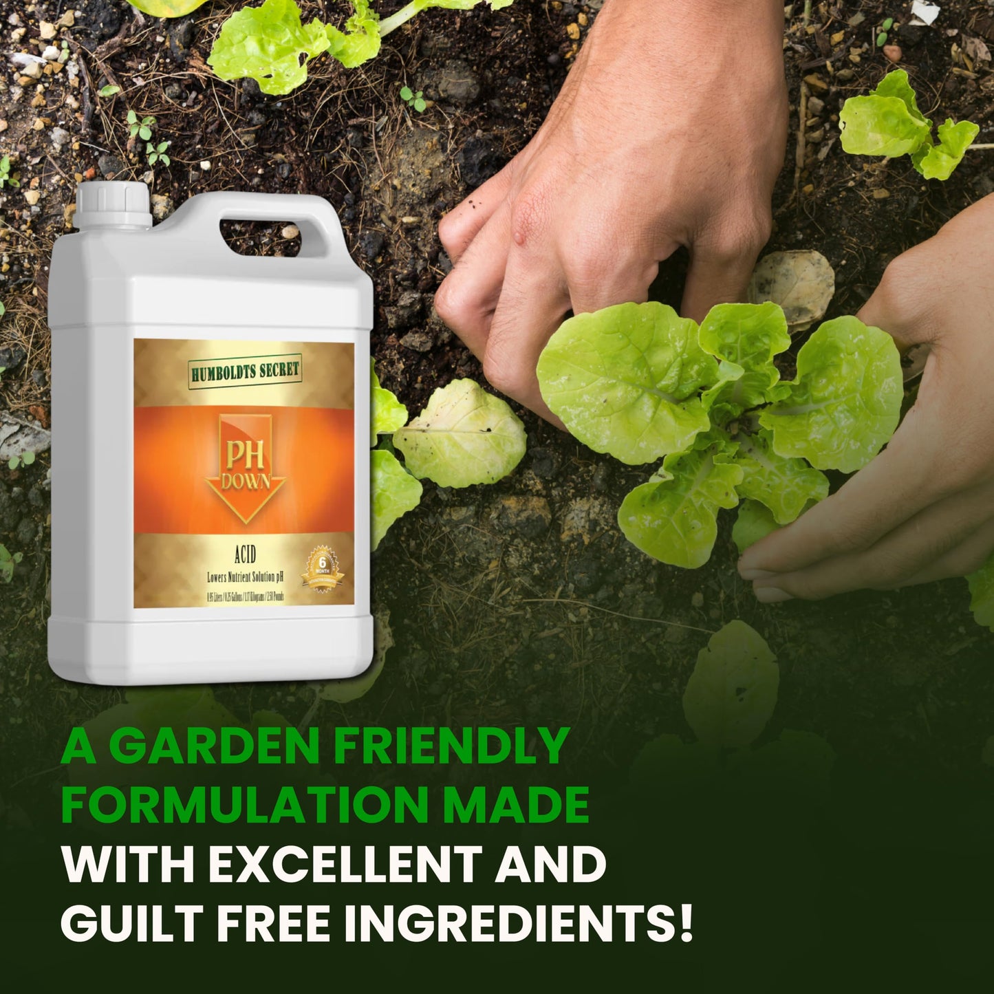 Humboldts Secret pH Down for Plants | Liquid pH Adjuster and Balancer for Soil Coco Hydroponics | Concentrated Phosphoric Acid Solution Supporting Nutrient Uptake and Strong Growth | 32 Ounce