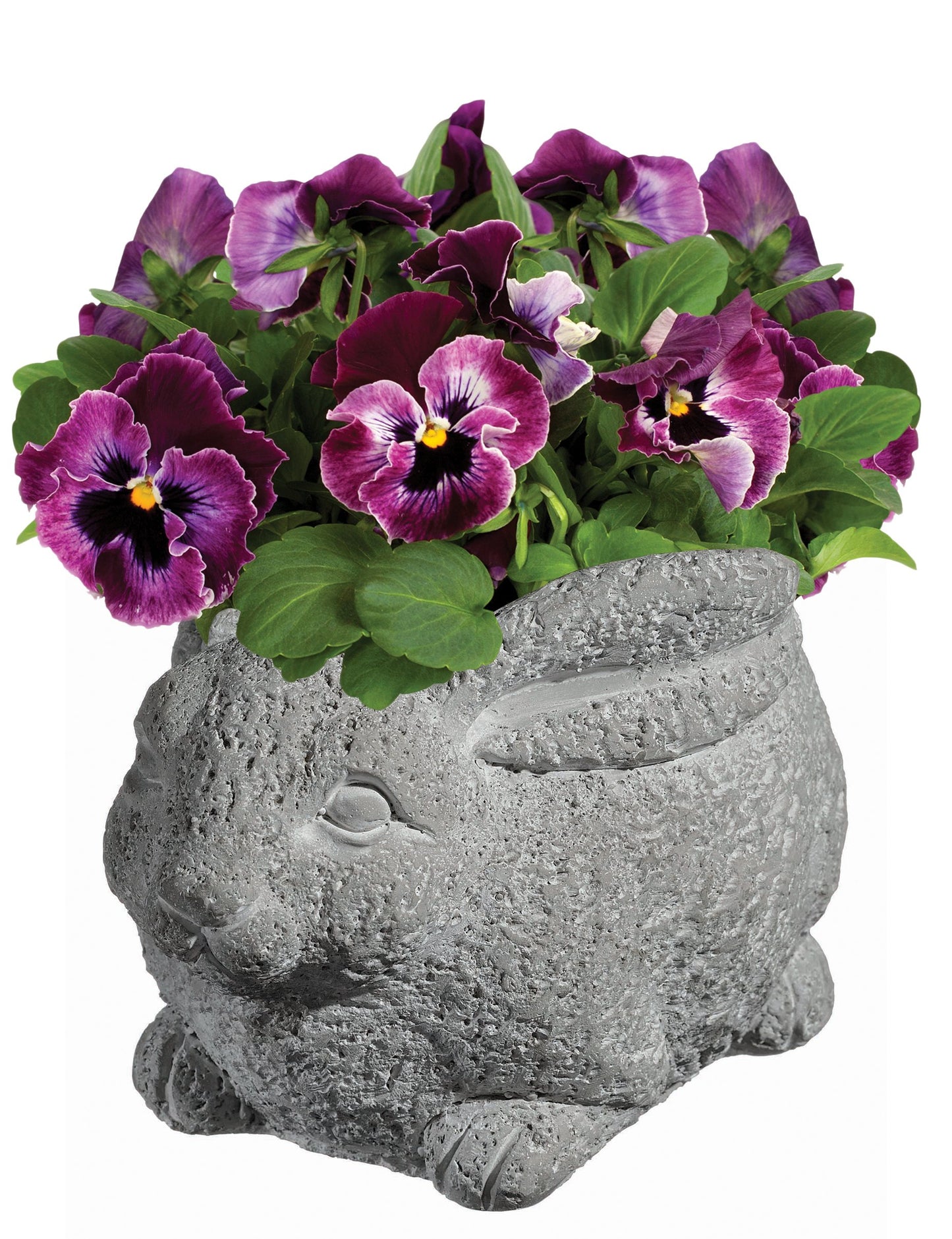 Classic Home and Garden Cement Buddies Animal Planter - Cute Desk Decoration - UV Coated Animal Vase w/Removable Drain Plug - Succulent Planter for Indoor/Outdoor Use (Bird Planter, Rust, Large)